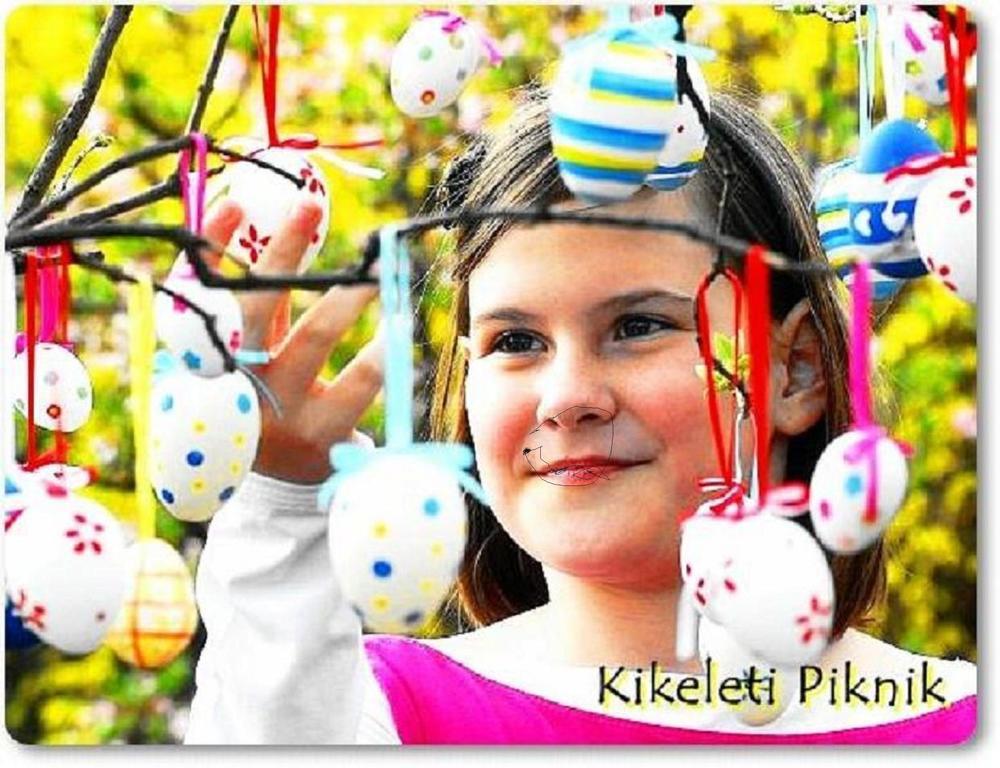 Benyei Fogado Panzio Es Etterem Bed & Breakfast Erdőbénye Dış mekan fotoğraf
